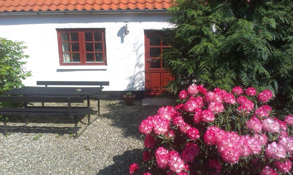 Vranum Guesthouse 비보르 외부 사진